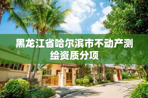 黑龙江省哈尔滨市不动产测绘资质分项 黑龙江省哈尔滨市不动产测绘资质分项