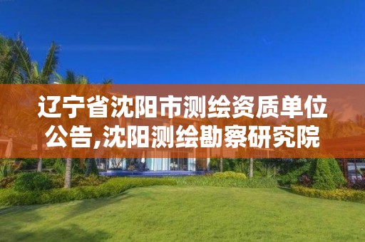 辽宁省沈阳市测绘资质单位公告,沈阳测绘勘察研究院有限公司