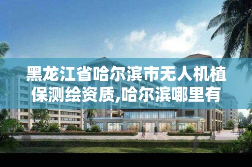 黑龙江省哈尔滨市无人机植保测绘资质,哈尔滨哪里有无人机植保