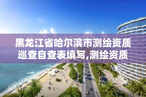 黑龙江省哈尔滨市测绘资质巡查自查表填写,测绘资质巡查报告