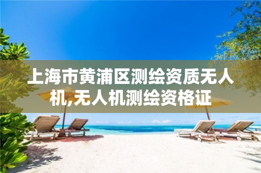 上海市黄浦区测绘资质无人机,无人机测绘资格证