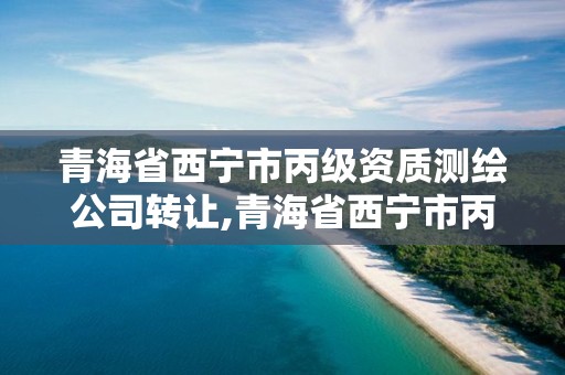 青海省西宁市丙级资质测绘公司转让,青海省西宁市丙级资质测绘公司转让信息
