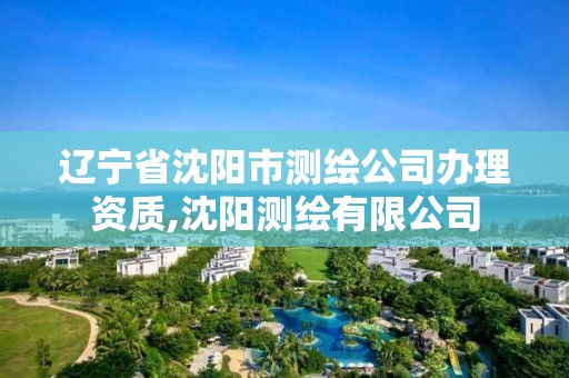 辽宁省沈阳市测绘公司办理资质,沈阳测绘有限公司