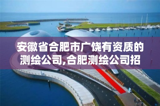 安徽省合肥市广饶有资质的测绘公司,合肥测绘公司招聘。