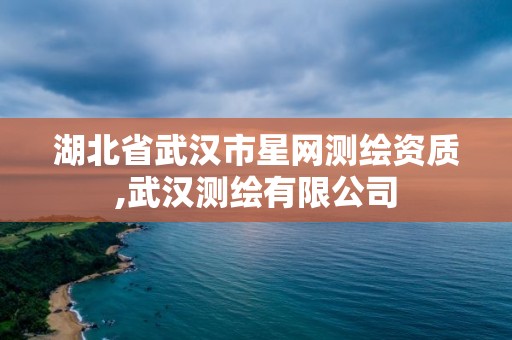 湖北省武汉市星网测绘资质,武汉测绘有限公司