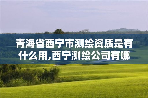 青海省西宁市测绘资质是有什么用,西宁测绘公司有哪些。