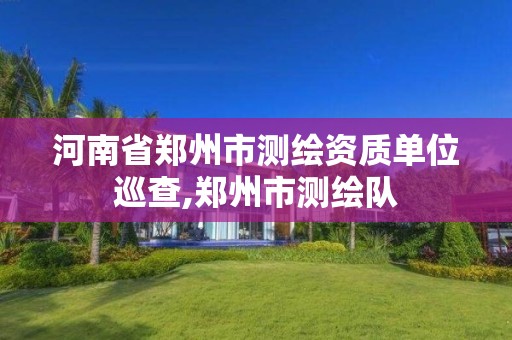 河南省郑州市测绘资质单位巡查,郑州市测绘队