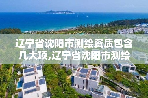 辽宁省沈阳市测绘资质包含几大项,辽宁省沈阳市测绘资质包含几大项目