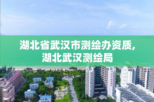 湖北省武汉市测绘办资质,湖北武汉测绘局