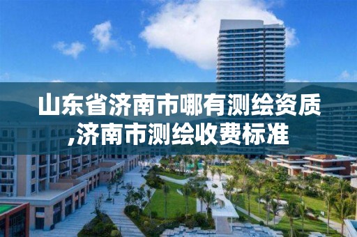 山东省济南市哪有测绘资质,济南市测绘收费标准