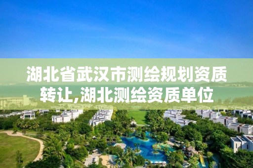 湖北省武汉市测绘规划资质转让,湖北测绘资质单位