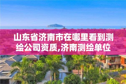 山东省济南市在哪里看到测绘公司资质,济南测绘单位