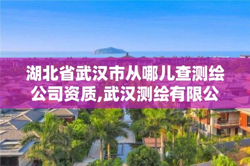 湖北省武汉市从哪儿查测绘公司资质,武汉测绘有限公司。