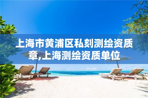 上海市黄浦区私刻测绘资质章,上海测绘资质单位