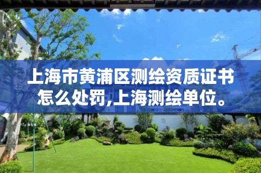 上海市黄浦区测绘资质证书怎么处罚,上海测绘单位。