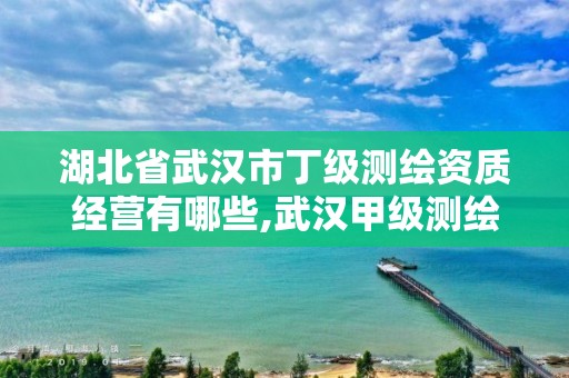 湖北省武汉市丁级测绘资质经营有哪些,武汉甲级测绘资质名录