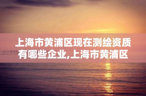 上海市黄浦区现在测绘资质有哪些企业,上海市黄浦区测绘中心