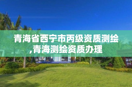 青海省西宁市丙级资质测绘,青海测绘资质办理