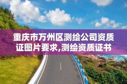 重庆市万州区测绘公司资质证图片要求,测绘资质证书的式样