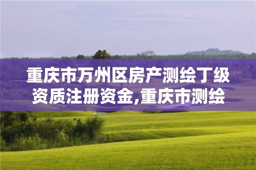重庆市万州区房产测绘丁级资质注册资金,重庆市测绘资质管理办法。