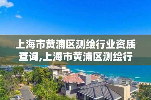 上海市黄浦区测绘行业资质查询,上海市黄浦区测绘行业资质查询网 上海市黄浦区测绘行业资质查询,上海市黄浦区测绘行业资质查询网