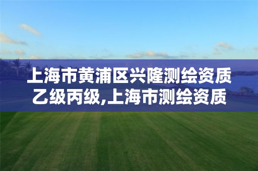 上海市黄浦区兴隆测绘资质乙级丙级,上海市测绘资质单位名单