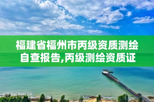 福建省福州市丙级资质测绘自查报告,丙级测绘资质证书