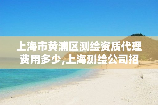 上海市黄浦区测绘资质代理费用多少,上海测绘公司招聘