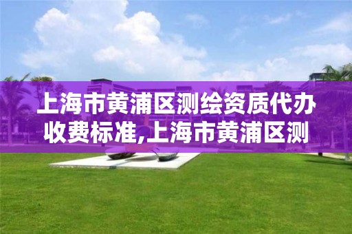 上海市黄浦区测绘资质代办收费标准,上海市黄浦区测绘资质代办收费标准表