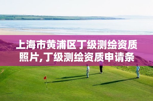 上海市黄浦区丁级测绘资质照片,丁级测绘资质申请条件