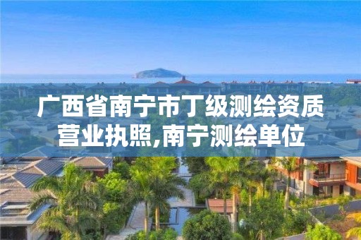 广西省南宁市丁级测绘资质营业执照,南宁测绘单位