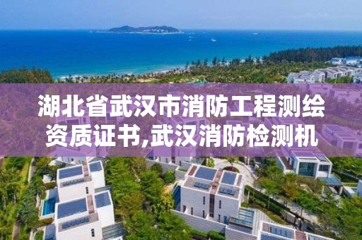 湖北省武汉市消防工程测绘资质证书,武汉消防检测机构。