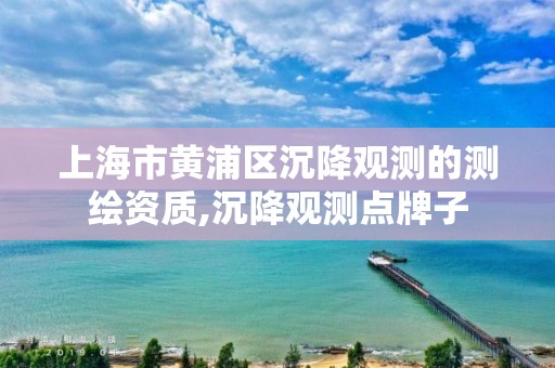 上海市黄浦区沉降观测的测绘资质,沉降观测点牌子 上海市黄浦区沉降观测的测绘资质,沉降观测点牌子