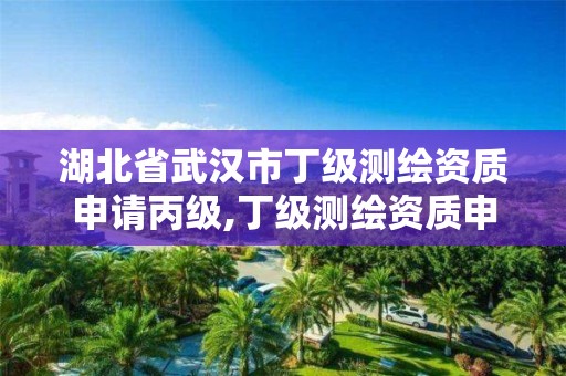 湖北省武汉市丁级测绘资质申请丙级,丁级测绘资质申请人员条件