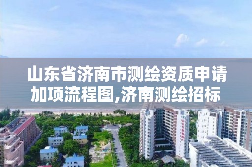 山东省济南市测绘资质申请加项流程图,济南测绘招标。