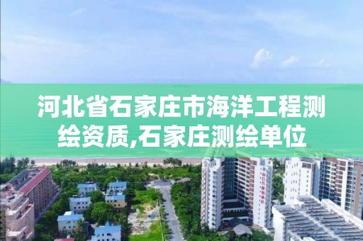 河北省石家庄市海洋工程测绘资质,石家庄测绘单位