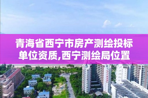 青海省西宁市房产测绘投标单位资质,西宁测绘局位置