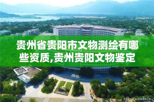 贵州省贵阳市文物测绘有哪些资质,贵州贵阳文物鉴定中心