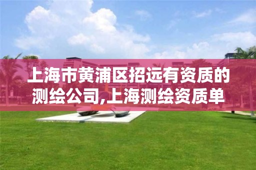 上海市黄浦区招远有资质的测绘公司,上海测绘资质单位。