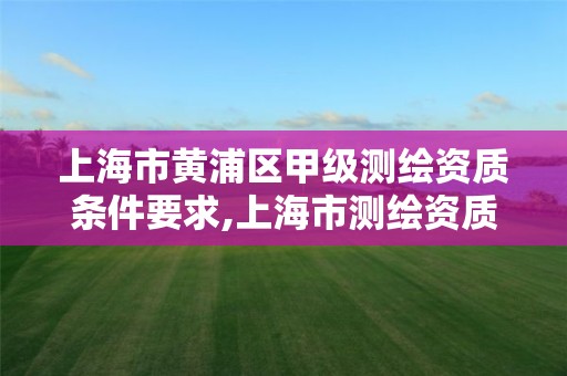 上海市黄浦区甲级测绘资质条件要求,上海市测绘资质单位名单