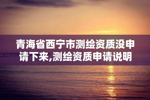 青海省西宁市测绘资质没申请下来,测绘资质申请说明怎么写