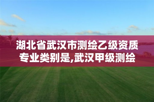 湖北省武汉市测绘乙级资质专业类别是,武汉甲级测绘单位