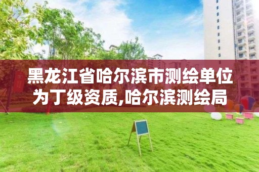 黑龙江省哈尔滨市测绘单位为丁级资质,哈尔滨测绘局怎么样