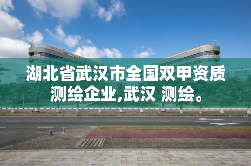 湖北省武汉市全国双甲资质测绘企业,武汉 测绘。