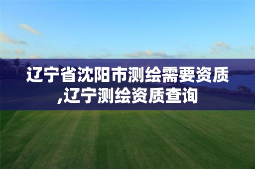 辽宁省沈阳市测绘需要资质,辽宁测绘资质查询