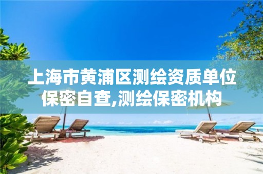 上海市黄浦区测绘资质单位保密自查,测绘保密机构