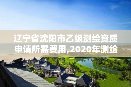 辽宁省沈阳市乙级测绘资质申请所需费用,2020年测绘乙级资质申报条件。