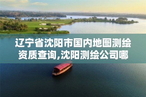 辽宁省沈阳市国内地图测绘资质查询,沈阳测绘公司哪家强哪家好。