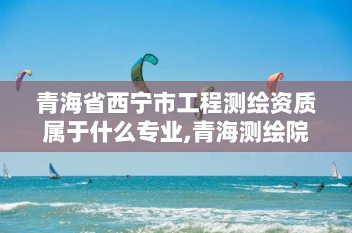 青海省西宁市工程测绘资质属于什么专业,青海测绘院属于什么单位