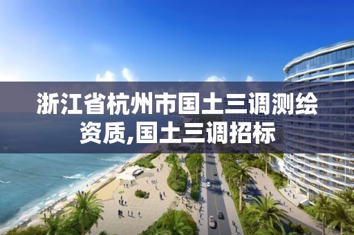 浙江省杭州市国土三调测绘资质,国土三调招标